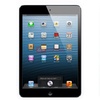 苹果（Apple）iPad mini MD540CH/A 16G黑色4G版