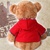 七夕情人节创意礼品 泰迪熊 毛绒公仔外套熊 棕色(60cm)第3张高清大图