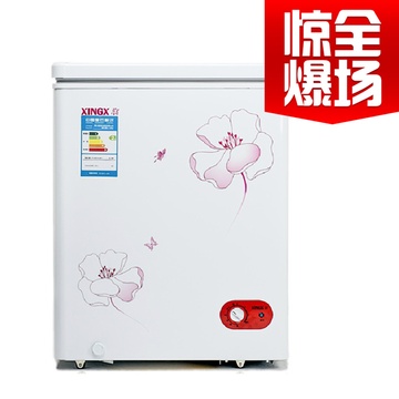 星星XINGX BD\/BC-106EC106L迷你小冰柜立