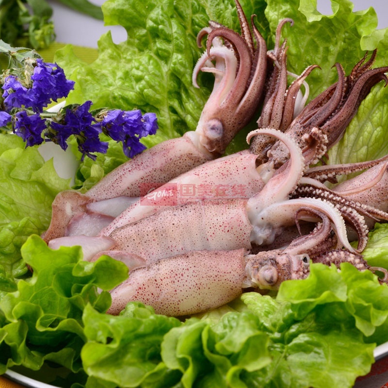 海兔250g/袋 乌子籽乌乌贼笔管章鱼鱿鱼海产品大连海鲜【大渔场】