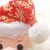 安吉宝贝卡通圣诞老人毛绒玩具公仔 音乐圣诞老人布娃娃 圣诞节装饰礼品(圣诞老人公仔 30cm（有音乐）)第3张高清大图