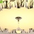 广亚卧室灯LED吸顶灯具现代简约客厅餐厅灯温馨浪漫书房水晶灯圆形灯饰X4(LED正白光 黑色花48cm24W)第5张高清大图