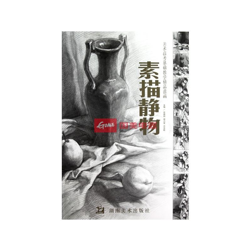 素描静物(美术高考基础教学精品范画)