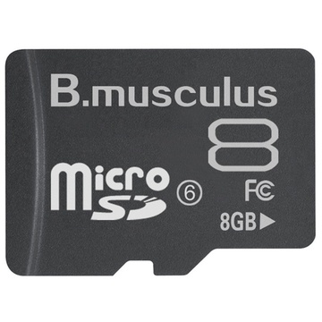 曼卡路（B.Musculus）8G手机存储卡（Class6）