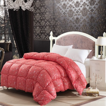 皇家皇朝 超柔羽丝绒单双人冬被子(砖红 2.2*2.4m)