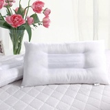 床上用品 超低价 决明子保健枕芯 单人枕头 颈椎保健枕 白色