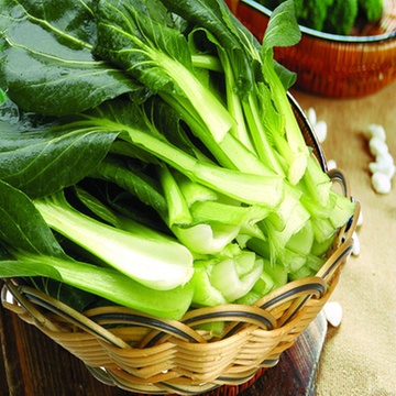 大漠果农新鲜蔬菜油菜一斤