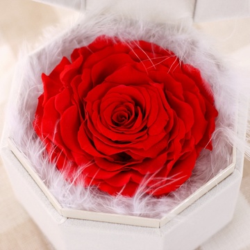 永生花七彩玫瑰花礼盒 进口保鲜花女友闺蜜生日七夕情人礼物33(红色